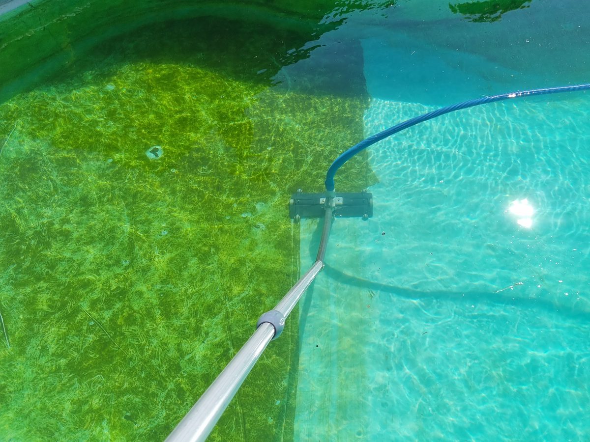 Aspiration d'un fond de piscine couvert d'algues vertes
